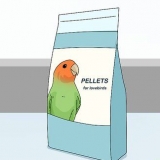 Alimentando pombinhos