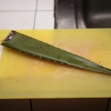 Fazendo suco de aloe vera