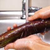 Prepare a berinjela