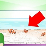 Determinando se seu peixe está doente