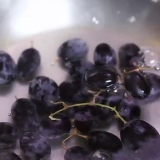 Fazendo uvas congeladas
