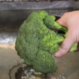 Limpando brócolis