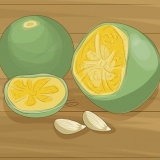 Plantas de calamondina