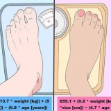 Contando calorias para emagrecer