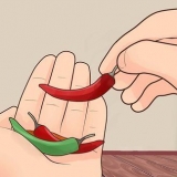 Cultivo de pimenta