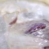 Corte de carne enlatada