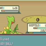Obtendo crobat em pokemon emerald