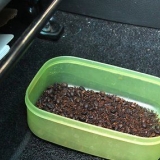 Tirando o cheiro de leite estragado do seu carro