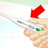 Medindo a temperatura corporal de um gato