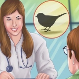 Cortando as asas de um pequeno pássaro