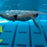 Aprenda a nadar o nado borboleta