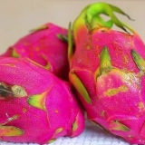 Comer fruta do dragão (pitaya)