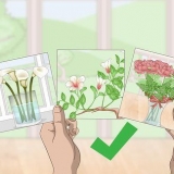 Organize três fotos em uma parede