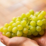 Mantendo as uvas frescas