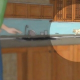 Remova os esquilos de sua casa
