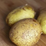 Assar uma batata no micro-ondas