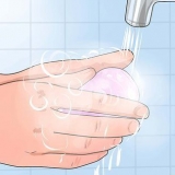 Segurando um dragão barbudo