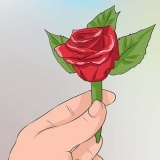 Alfinete uma lapela