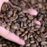 Usando uma cafeteira