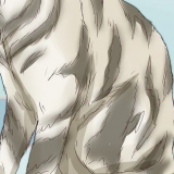 Reconhecendo um gato malhado
