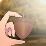 Cultivando um carvalho plantando uma bolota