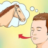 Acalmando um cavalo assustado