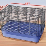 Escolhendo uma boa gaiola para hamster