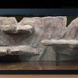 Fazendo um habitat para uma lagartixa-leopardo