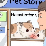 Cuidando de um hamster