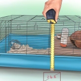 Montando uma gaiola de hamster