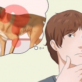 Deixando um cachorro mais gordo