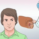 Inseminar artificialmente um cão