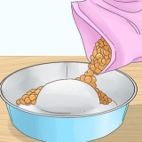 Como fazer um cachorro parar de comer muito rápido