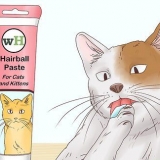 Ajudando um gato a tossir uma bola de pelo