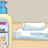 Dar banho em um gato com danos mínimos