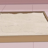 Ensinando um gato a ir até a caixa