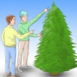 Cuidar de uma árvore de natal