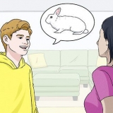 Mantendo um coelho em um apartamento