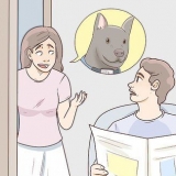 Encontrando um cachorro perdido