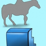 Monte um cavalo
