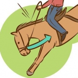 Como fazer um cavalo parar de bucking