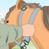 Montando um cavalo