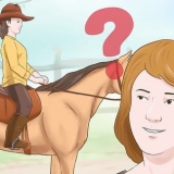 Treinando um cavalo