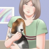 Escolhendo um filhote de cachorro de uma ninhada