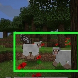 Como fazer uma ovelha arco-íris no minecraft