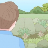 Criando um jardim de pedras com prevenção de ervas daninhas