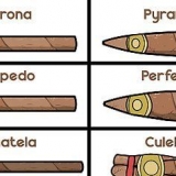 Fumando um charuto