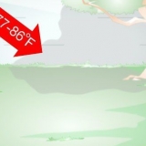 Faça um habitat de caracol