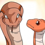 Escolhendo uma cobra como animal de estimação