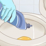 Usando uma escova de banheiro